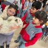 El mundo de los animales