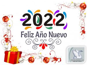 año nuevo nido